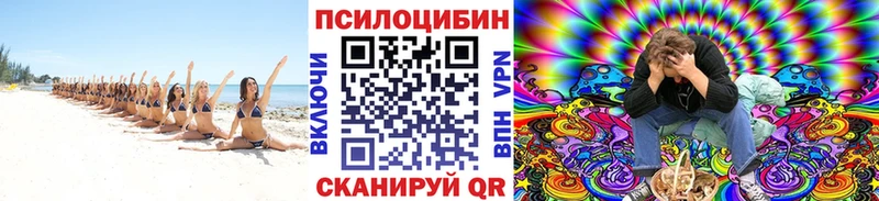 купить   маркетплейс Telegram  Галлюциногенные грибы мухоморы  Сольвычегодск 